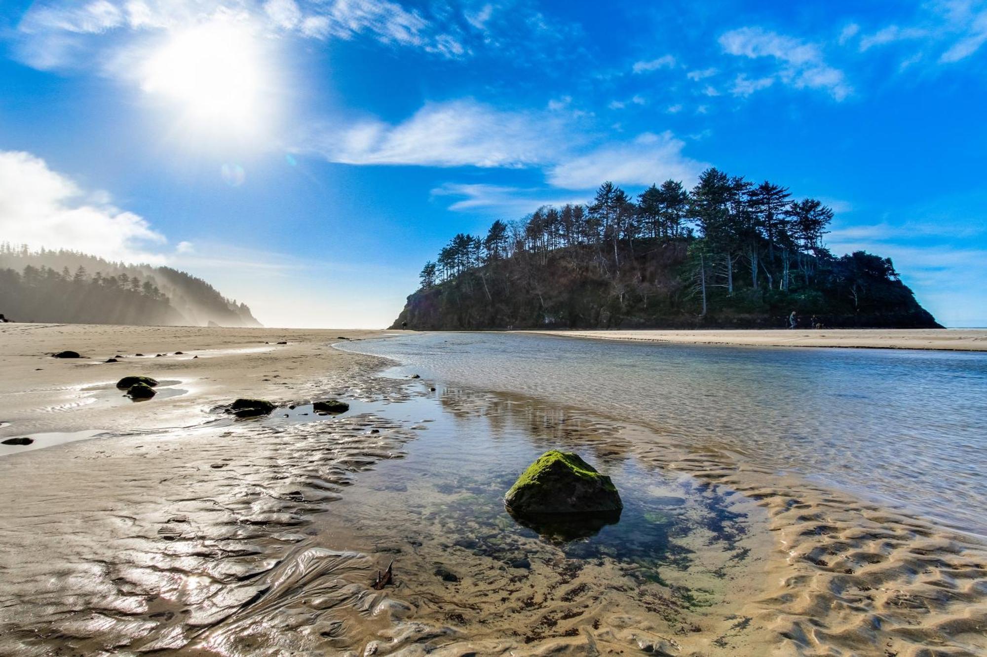 Pacific Sands Resort Neskowin Rum bild